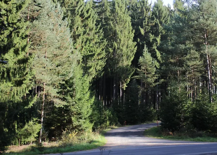 Cat'n'boots Haus By Interhome Hébergement de vacances