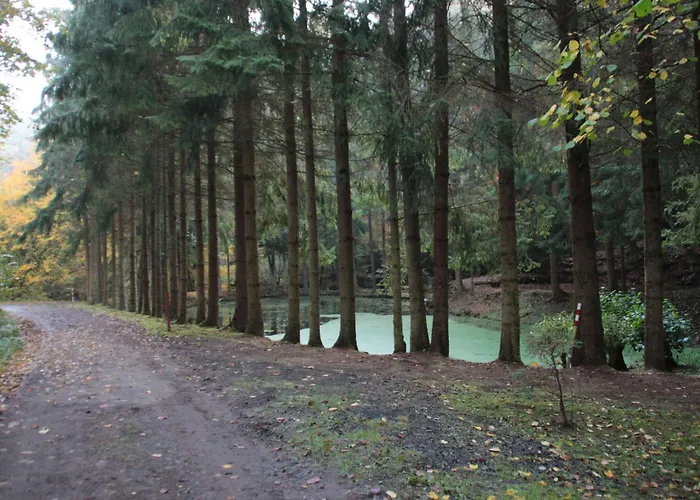 Cat'n'boots Haus By Interhome Nyaraló Kirchheim