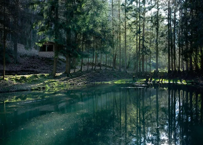 Hébergement de vacances Cat'n'boots Haus By Interhome Kirchheim (Hessen)